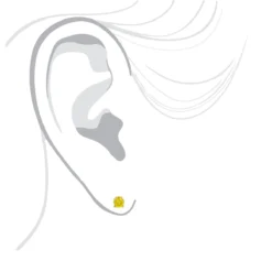 14K Yellow Gold Round Canary Yellow Diamond Stud Earrings 1/2ct -Outlet Radiant Bijou Store 14k round canary yellow diamond stud earrings 12ct p 6155 bodye